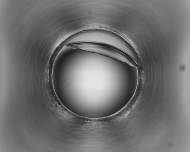 X0000090870877200708101331