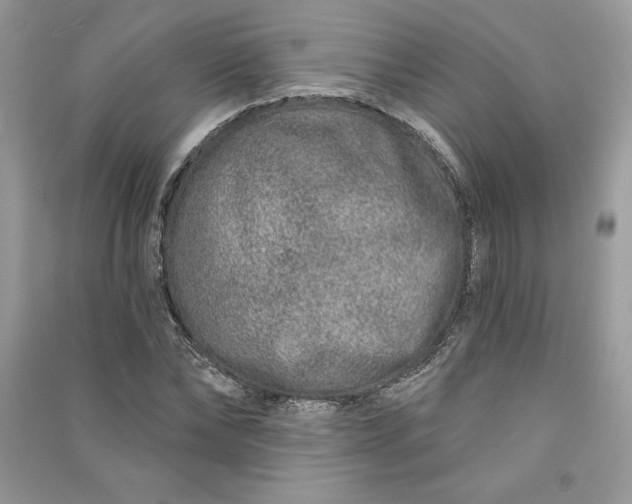 X0000090870878200708101331