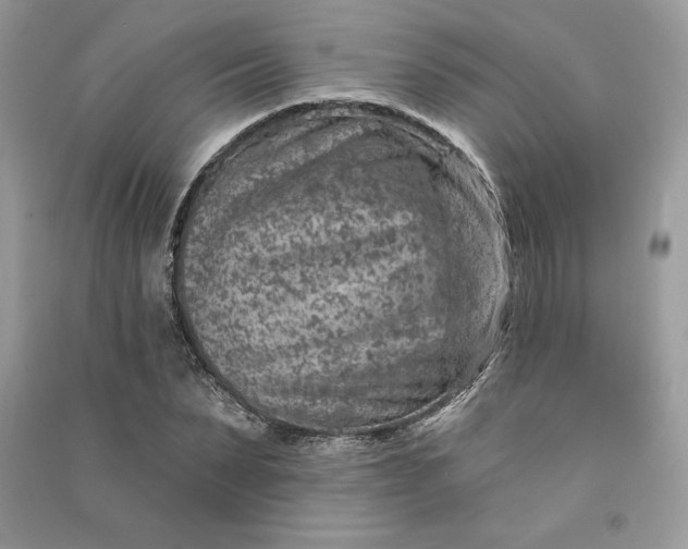 X0000090870879200708101331