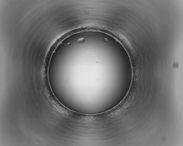 X0000090870880200708101331