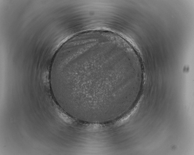 X0000090870881200708101331