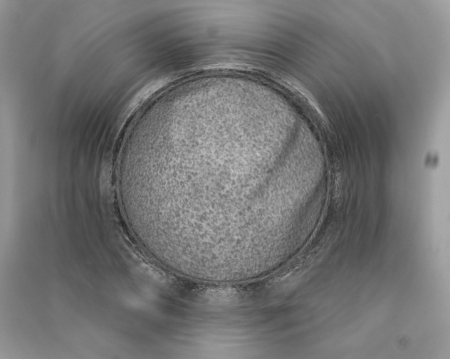 X0000090870882200708101331