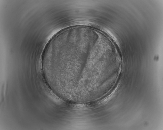 X0000090870883200708101331