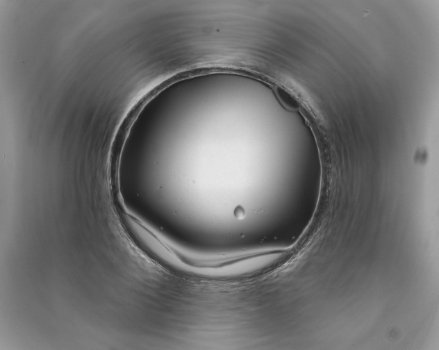 X0000090870884200708101331