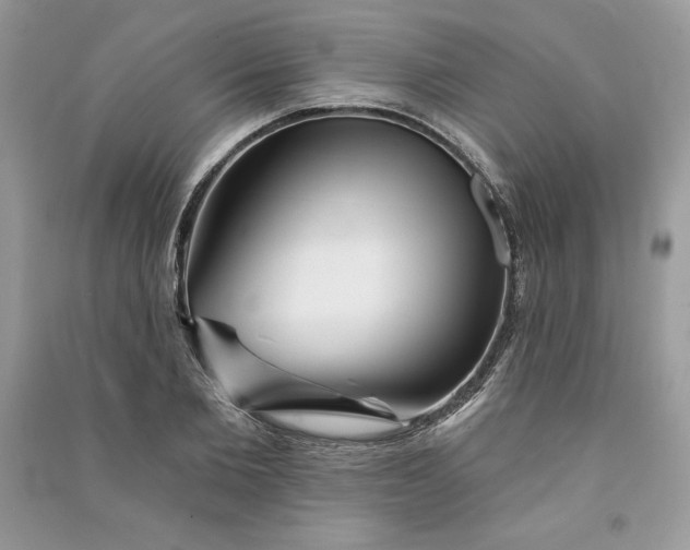 X0000090870885200708101331