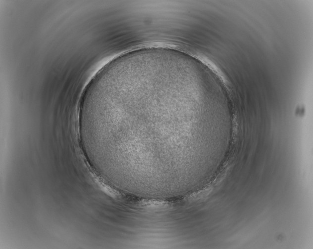 X0000090870886200708101331