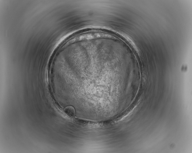 X0000090870887200708101331