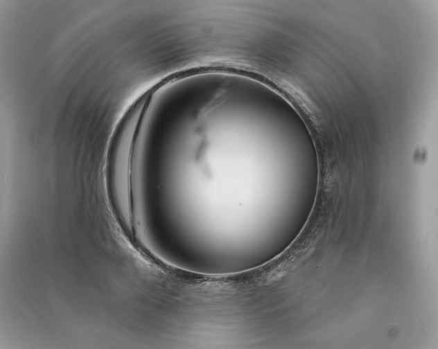 X0000090870888200708101331