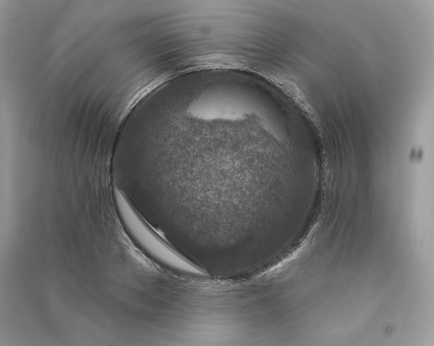 X0000090870889200708101331