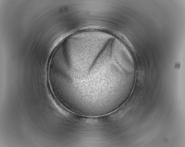 X0000090870890200708101331