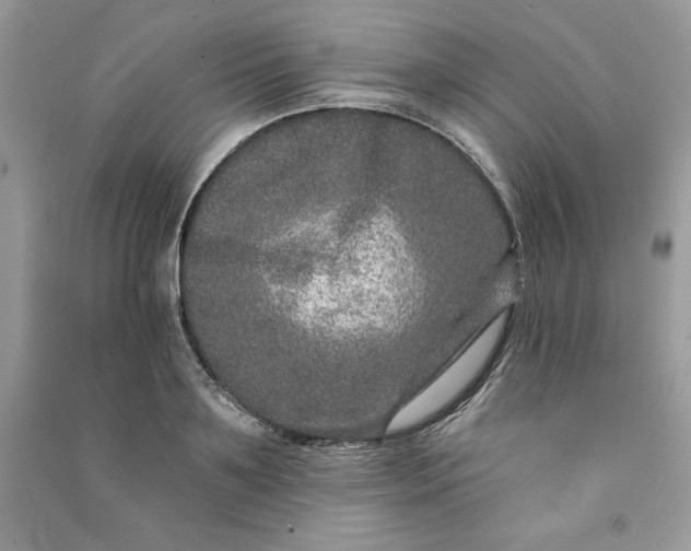 X0000090870891200708101331