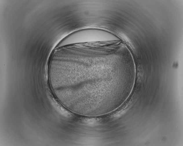 X0000090870892200708101331