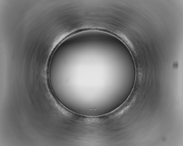 X0000090870893200708101331