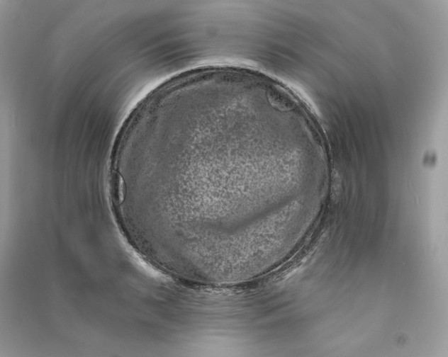 X0000090870895200708101331