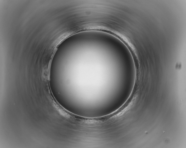 X0000090870897200708101331