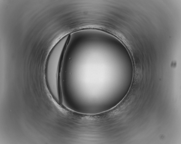 X0000090870898200708101331