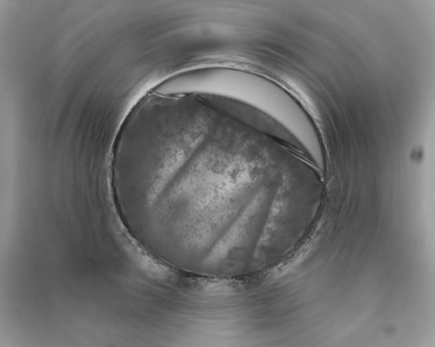 X0000090870899200708101331