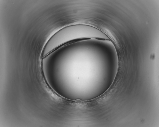 X0000090870900200708101331