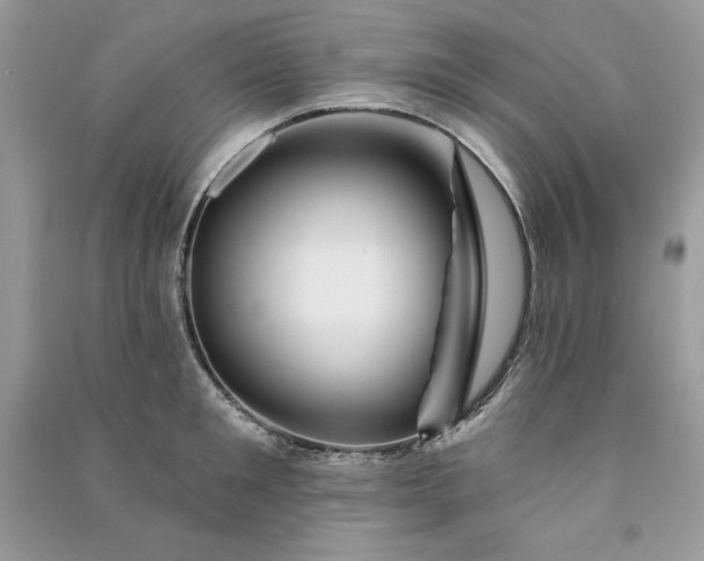 X0000090870901200708101331