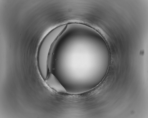 X0000090870902200708101331