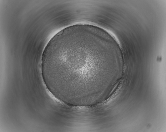 X0000090870903200708101331