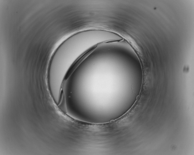 X0000090870904200708101331