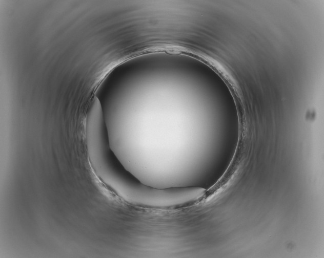 X0000090870905200708101331