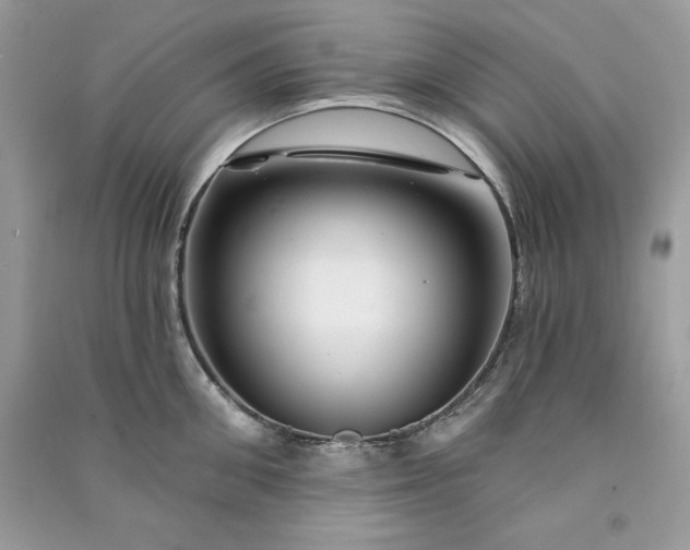 X0000090870906200708101331