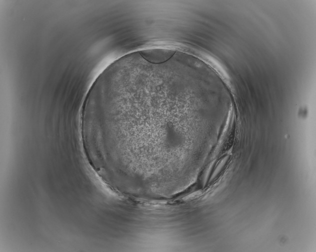 X0000090870907200708101331