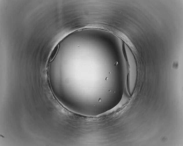 X0000090870908200708101331