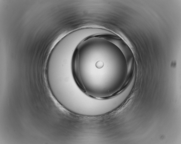 X0000090870909200708101331