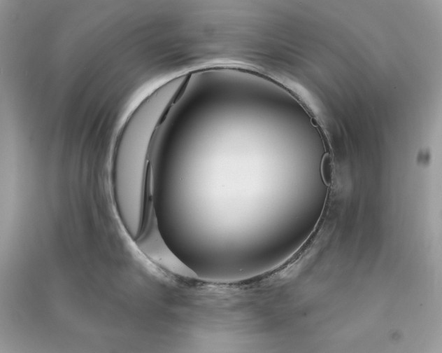 X0000090870910200708101331