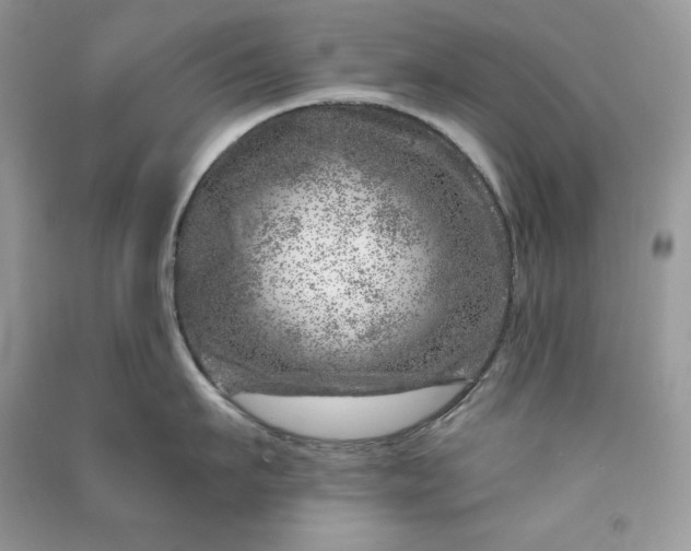 X0000090870911200708101331