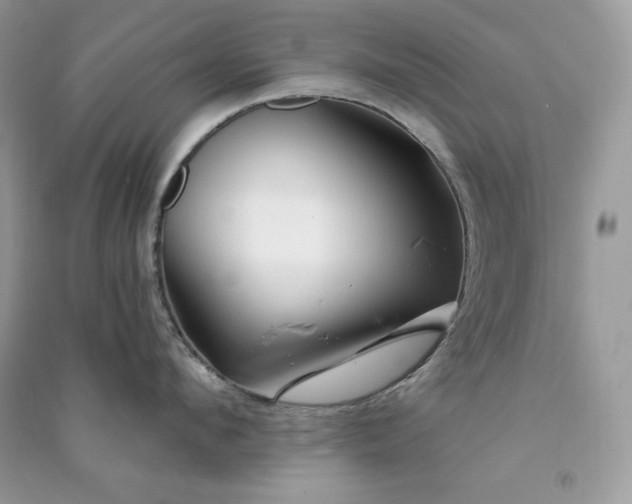 X0000090870912200708101331