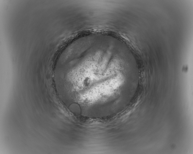 X0000090870913200708101330