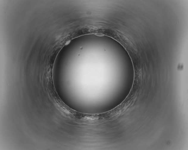 X0000090870914200708101330