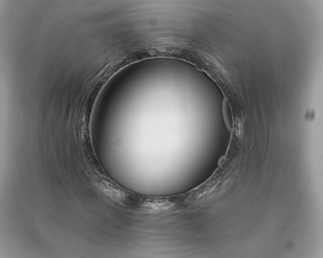 X0000090870915200708101330