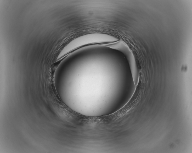 X0000090870916200708101330