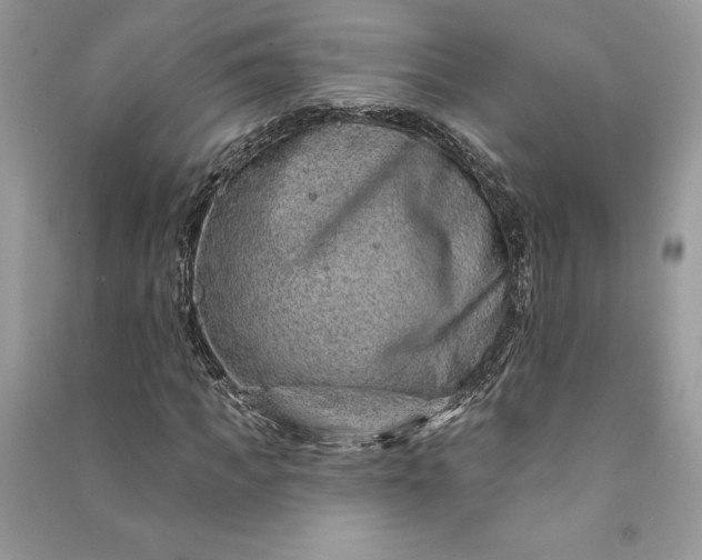 X0000090870917200708101330