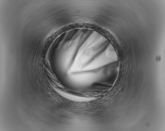 X0000090870919200708101330