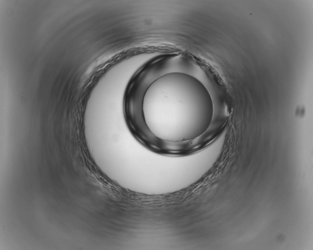 X0000090870920200708101330