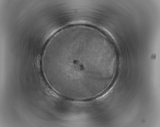 X0000090870921200708101330