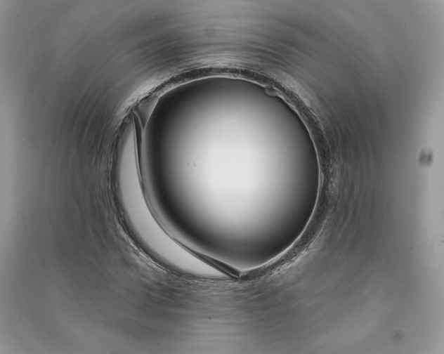 X0000090870922200708101330