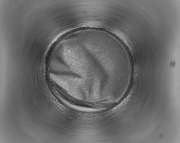 X0000090870923200708101330