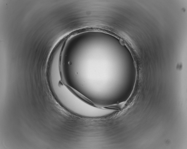 X0000090870924200708101330