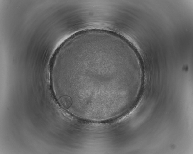 X0000090870925200708101330