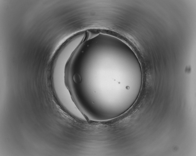 X0000090870926200708101330