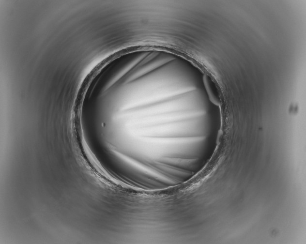 X0000090870928200708101330