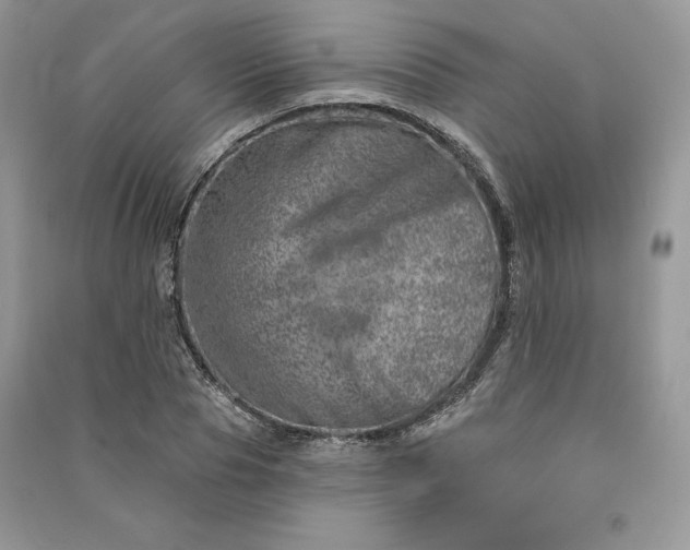 X0000090870929200708101330