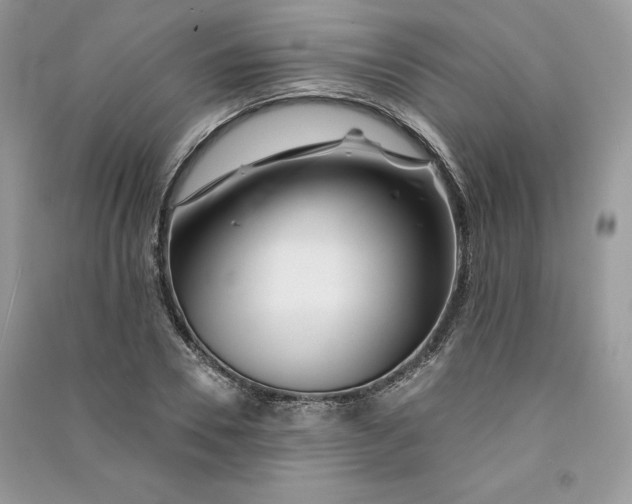 X0000090870930200708101330